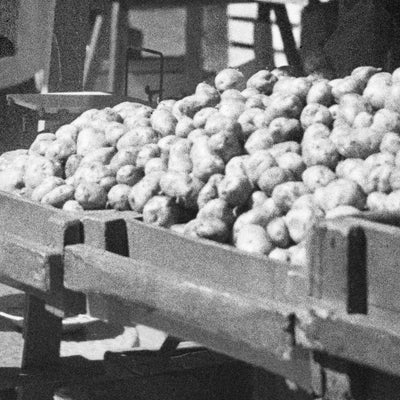 Potatishandlaren 1930