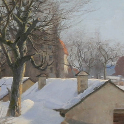 Vinterbild från Bergianska trädgården 1886