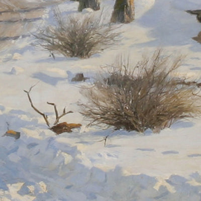 Vinterbild från Bergianska trädgården 1886